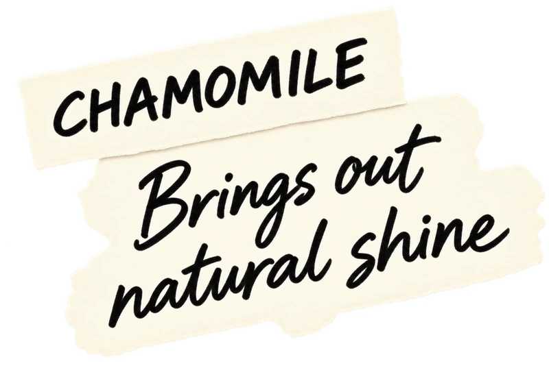 Chamomile: Brings out natural shine